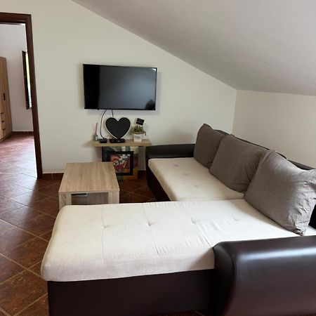 Apartment Atina Kotor Eksteriør bilde